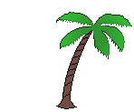 palm